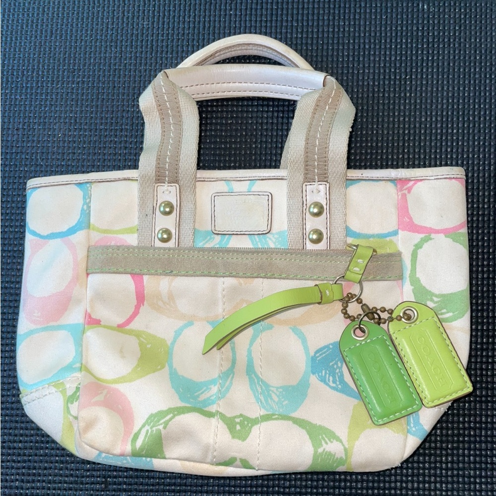 Coach Hampton Pastel
Signature Scribble Hand Bag